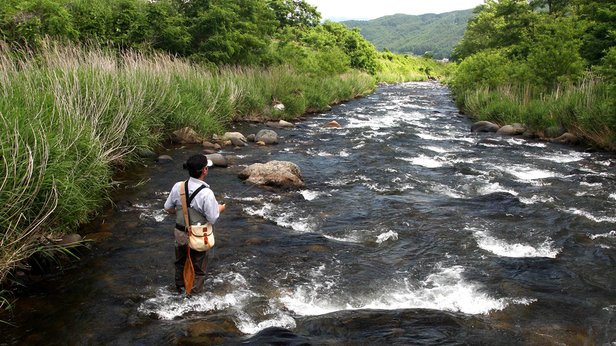 小渓流のウエットフライ・フィッシング | ARTICLES | FlyFisher ONLINE