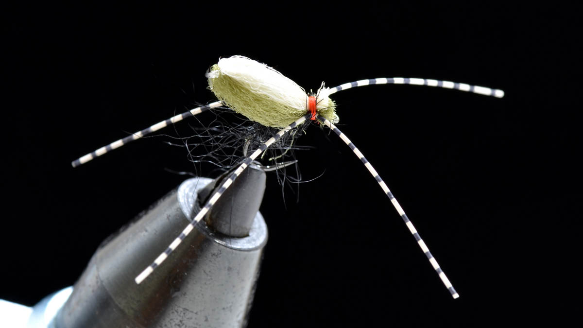 FLY FINDER | FlyFisher ONLINE フライフィッシング専門誌フライ