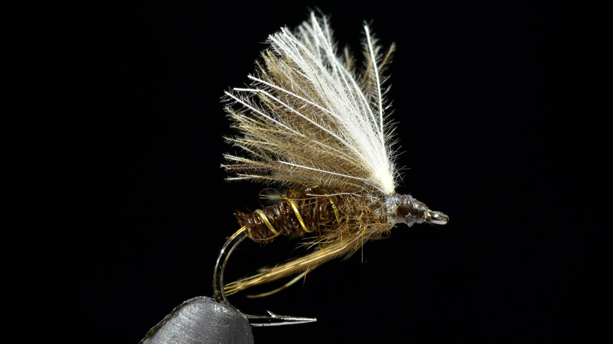 dry-162.jpg