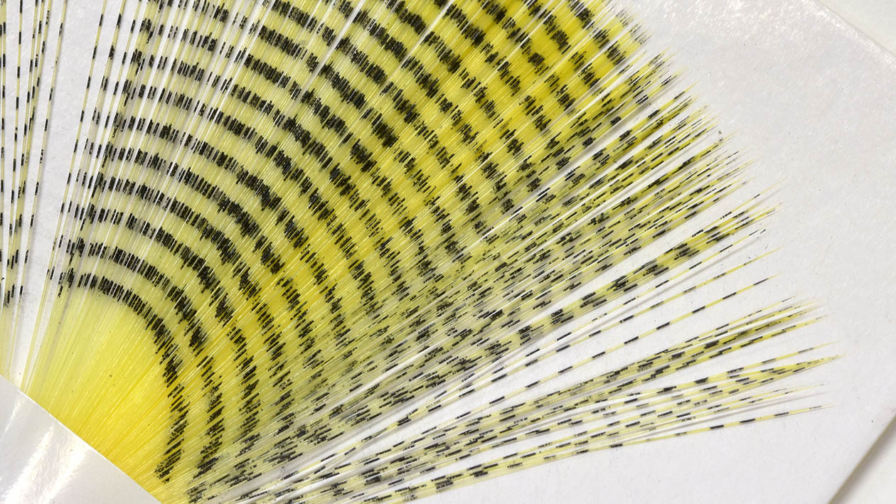 第3回 ドライフライ・テイル材の種類編 | ARTICLES | FlyFisher