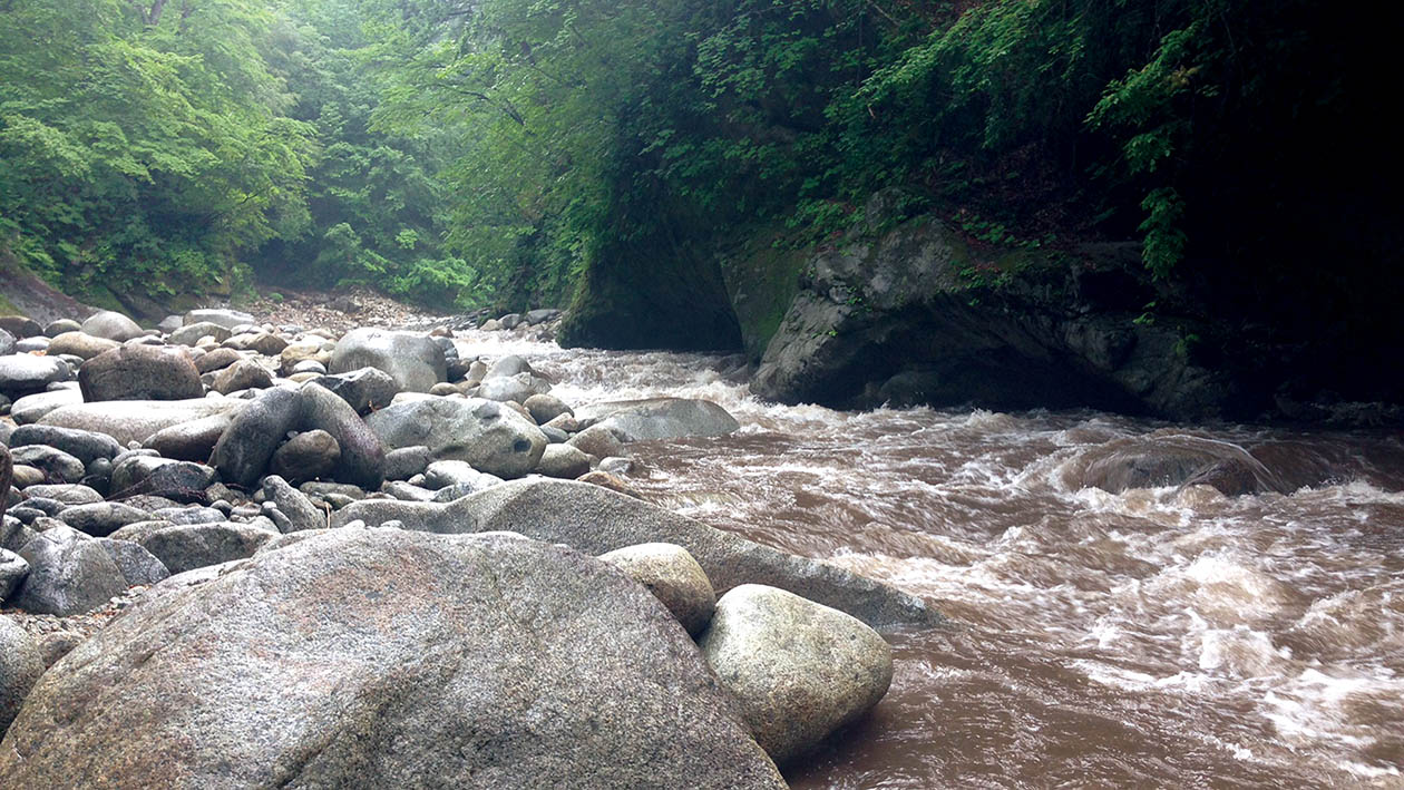 増水時こそ水面勝負。 | ARTICLES | FlyFisher ONLINE フライ