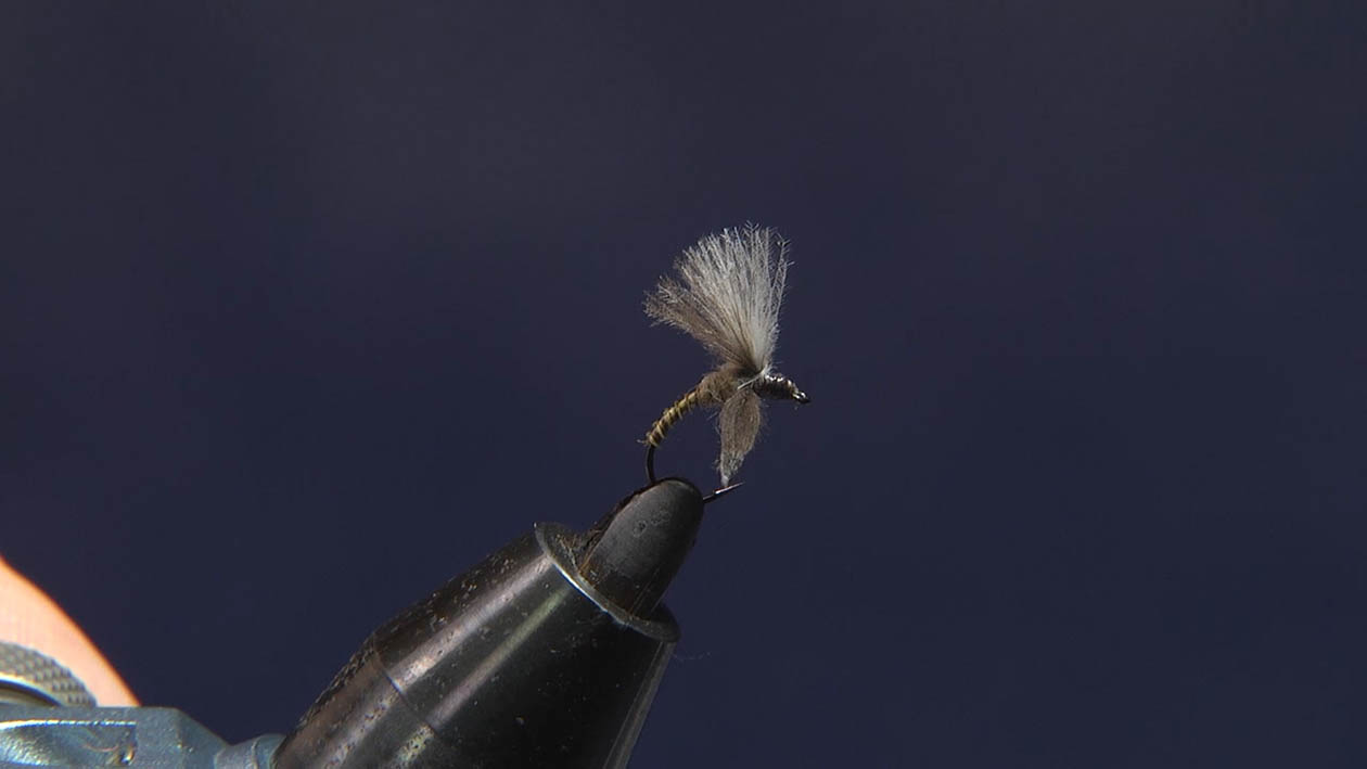 MOVIE | FlyFisher ONLINE フライフィッシング専門誌フライ