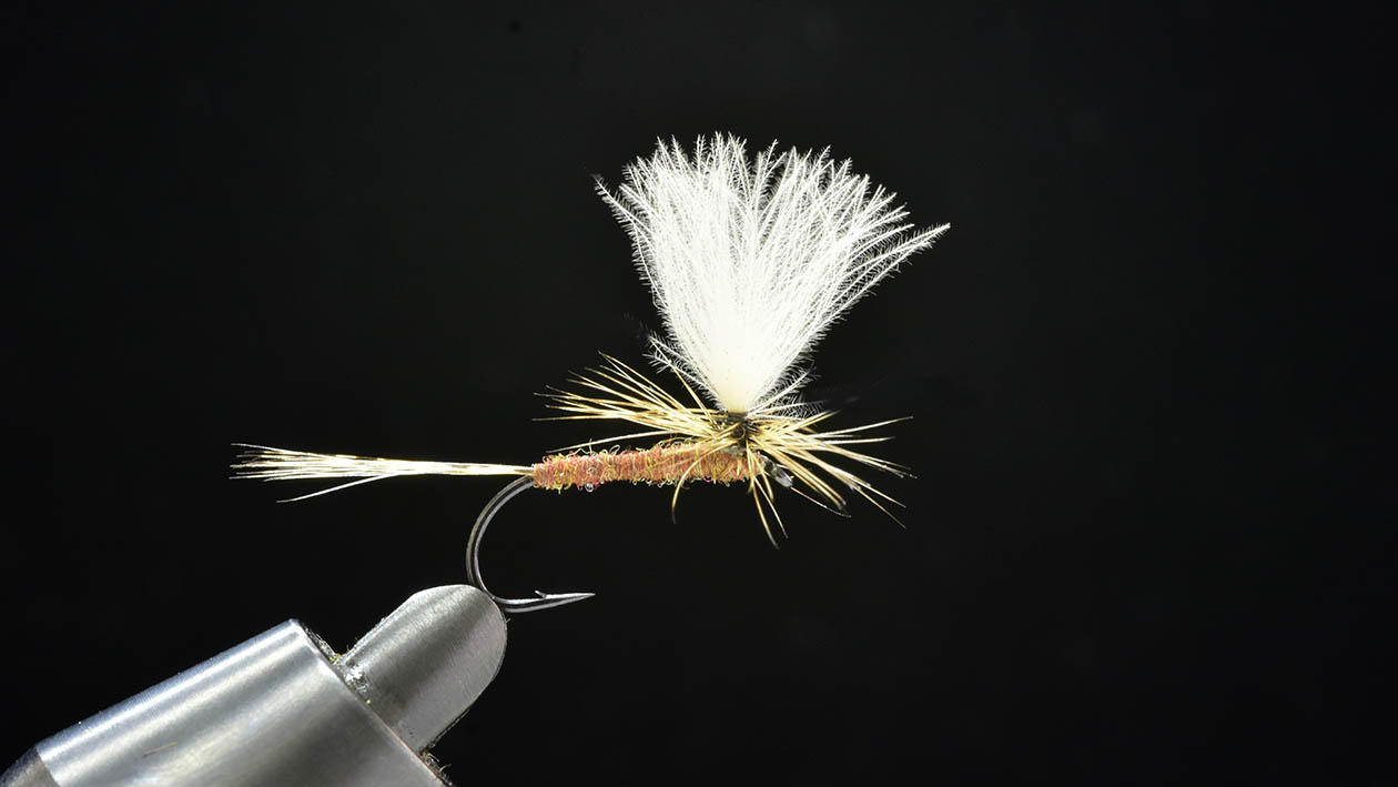第8回 パラシュートポスト 編 | SERIES | FlyFisher ONLINE