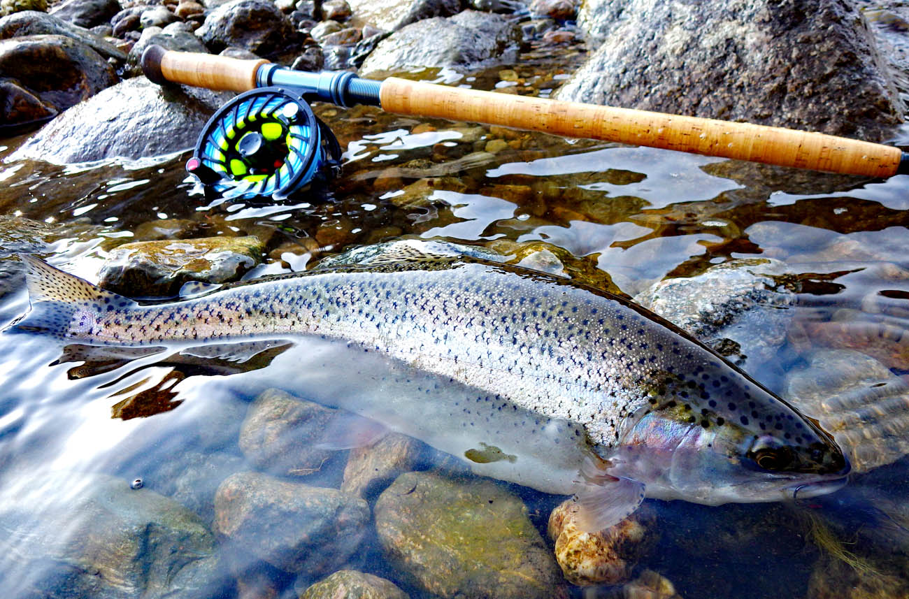 WET OR STREAMER? | ARTICLES | FlyFisher ONLINE フライ