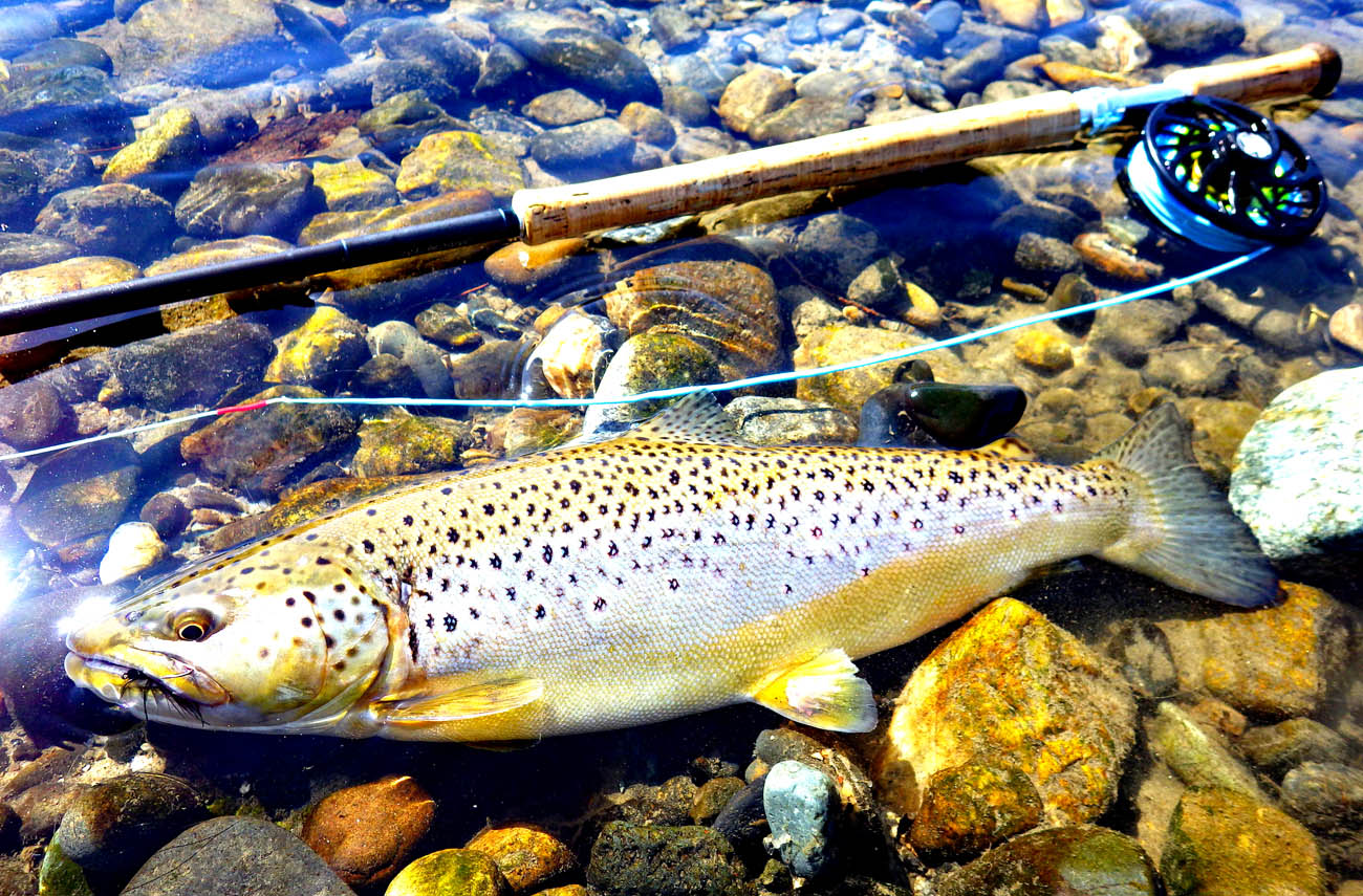 Wet Or Streamer Articles Flyfisher Online フライフィッシング専門誌フライフィッシャー オフィシャルサイト