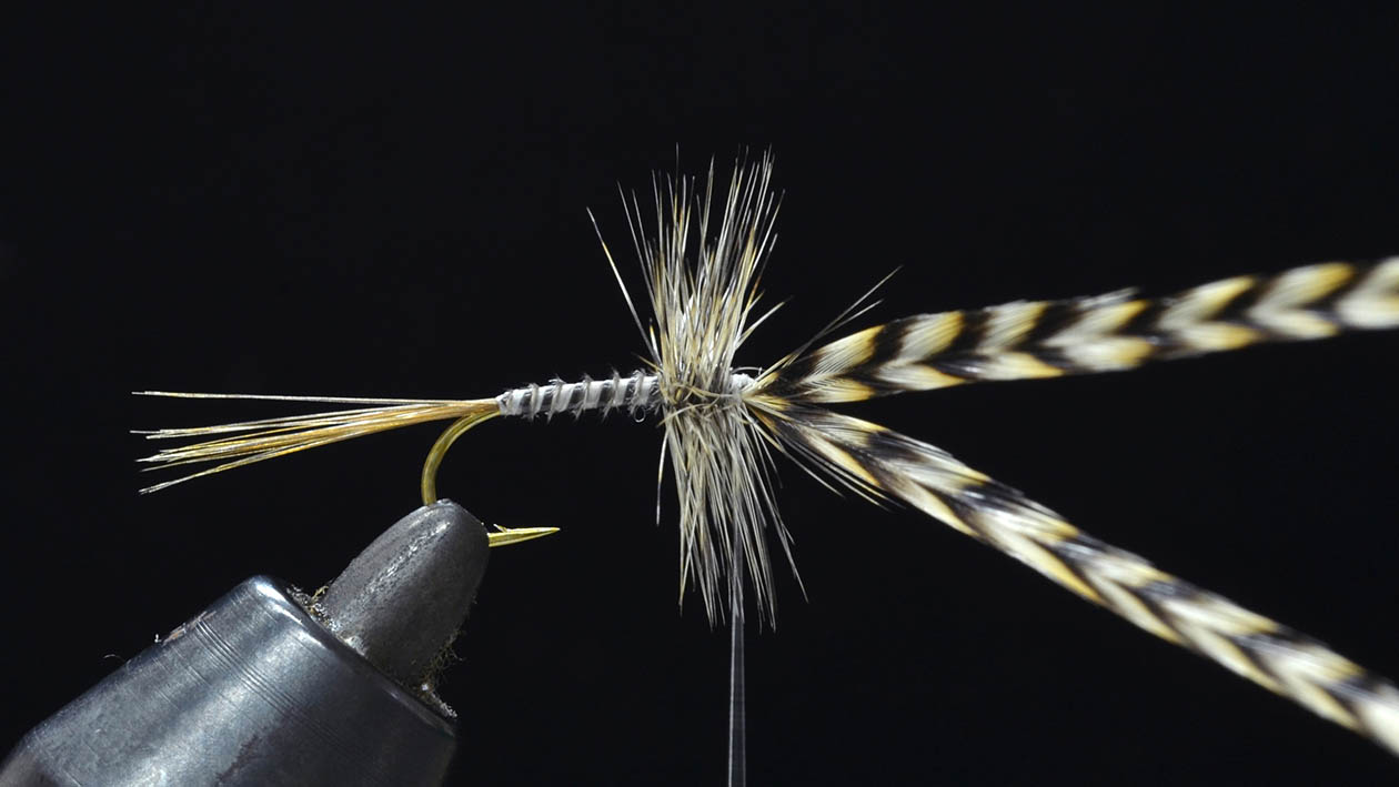 ホワイティング WHITING ハックル WHITING ホワイティング ドライ