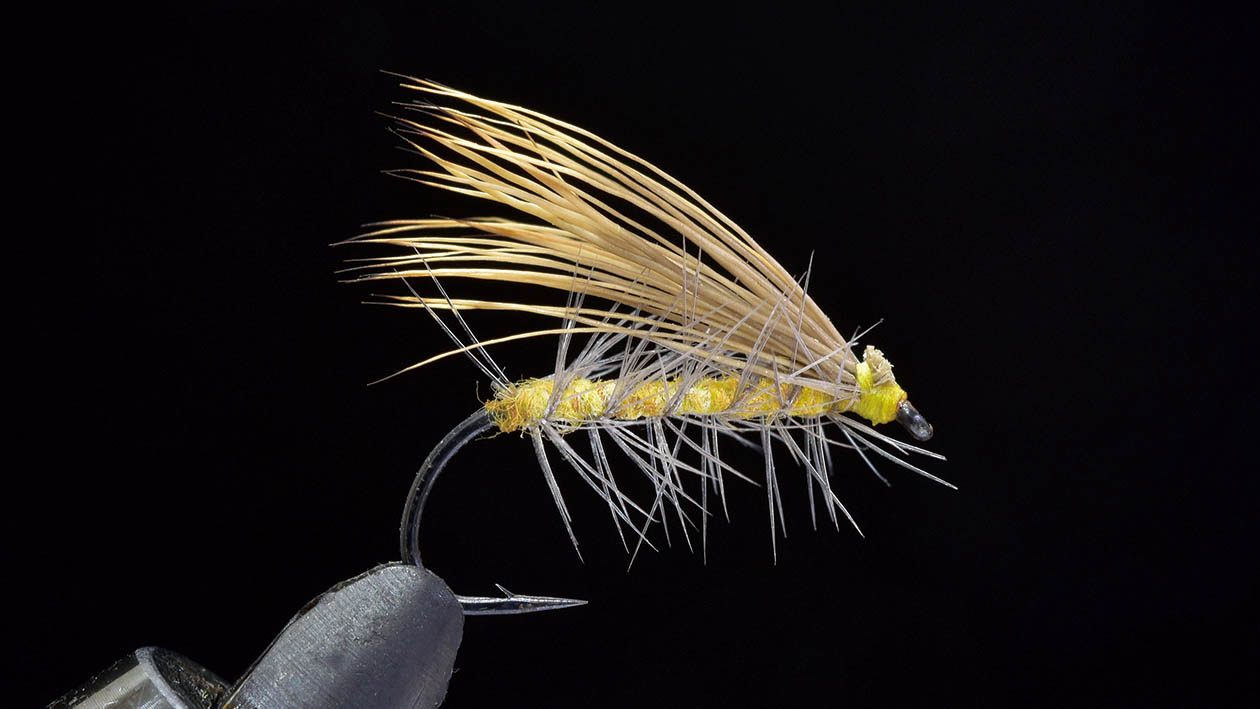 十人十色のエルクヘア・カディス | ARTICLES | FlyFisher ONLINE