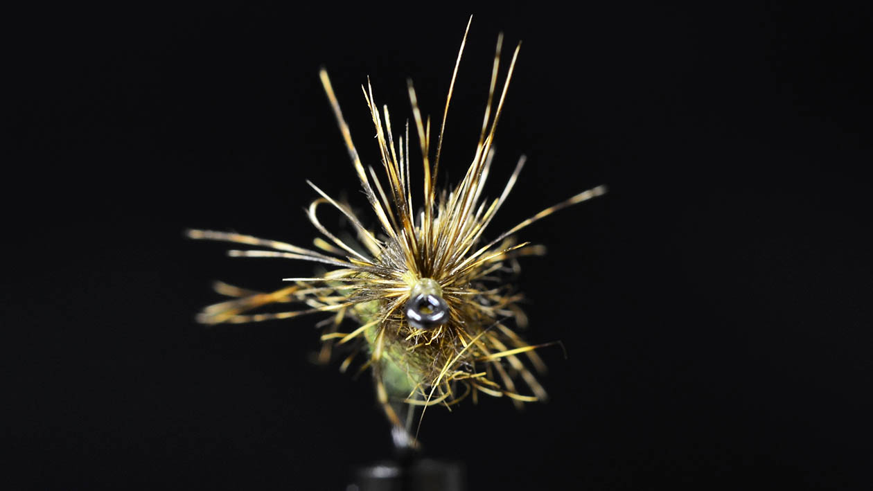 それぞれのソフトハックル 3/3 | ARTICLES | FlyFisher ONLINE