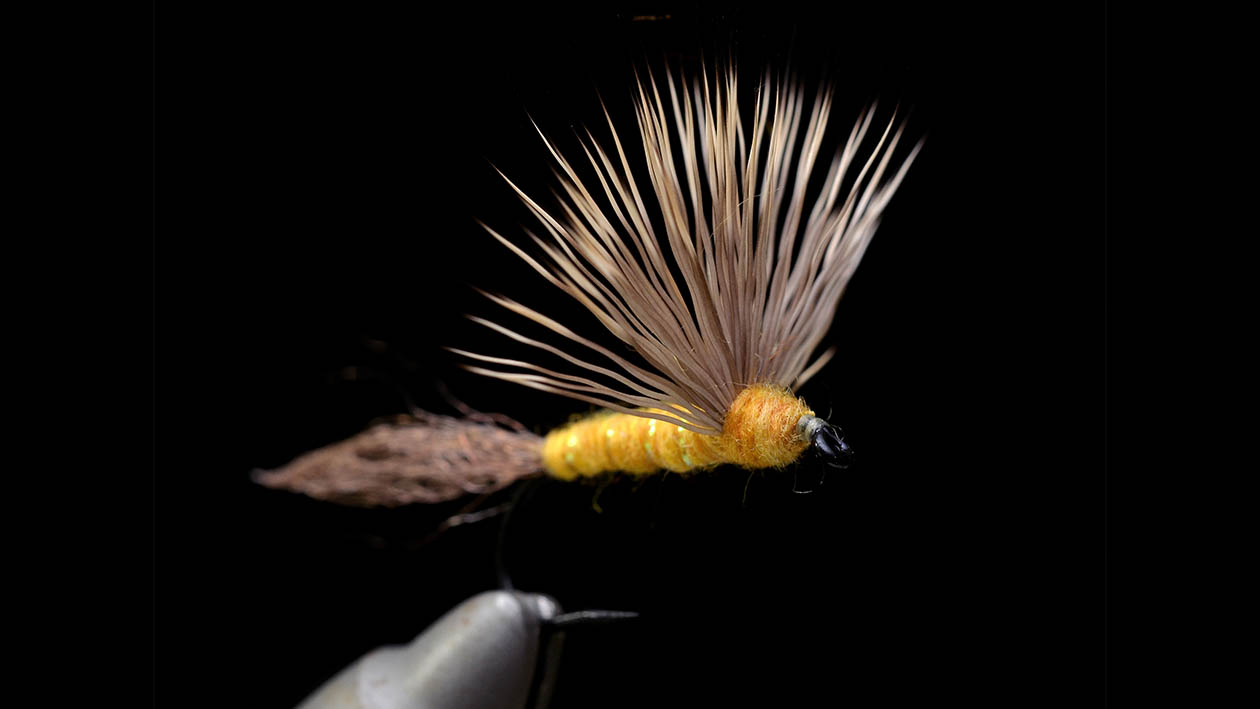 フライで変わるイブニング | ARTICLES | FlyFisher ONLINE フライ