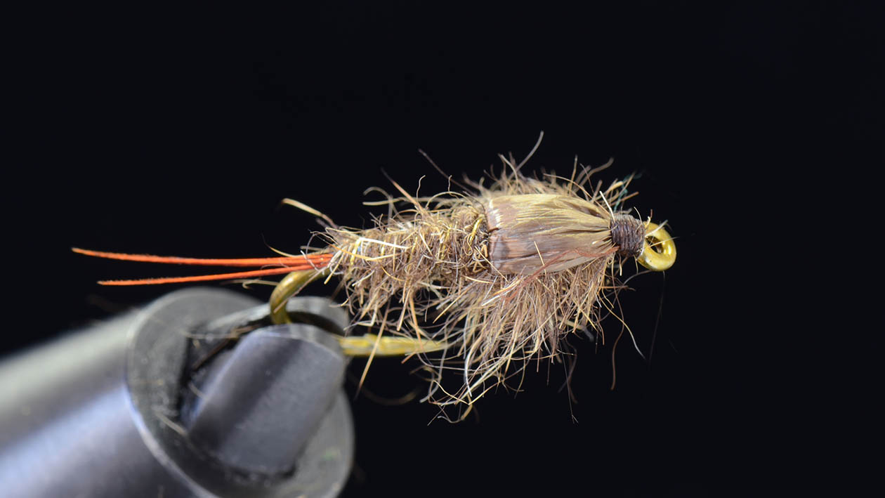 第22回 ニンフのウイングケース編 | SERIES | FlyFisher ONLINE