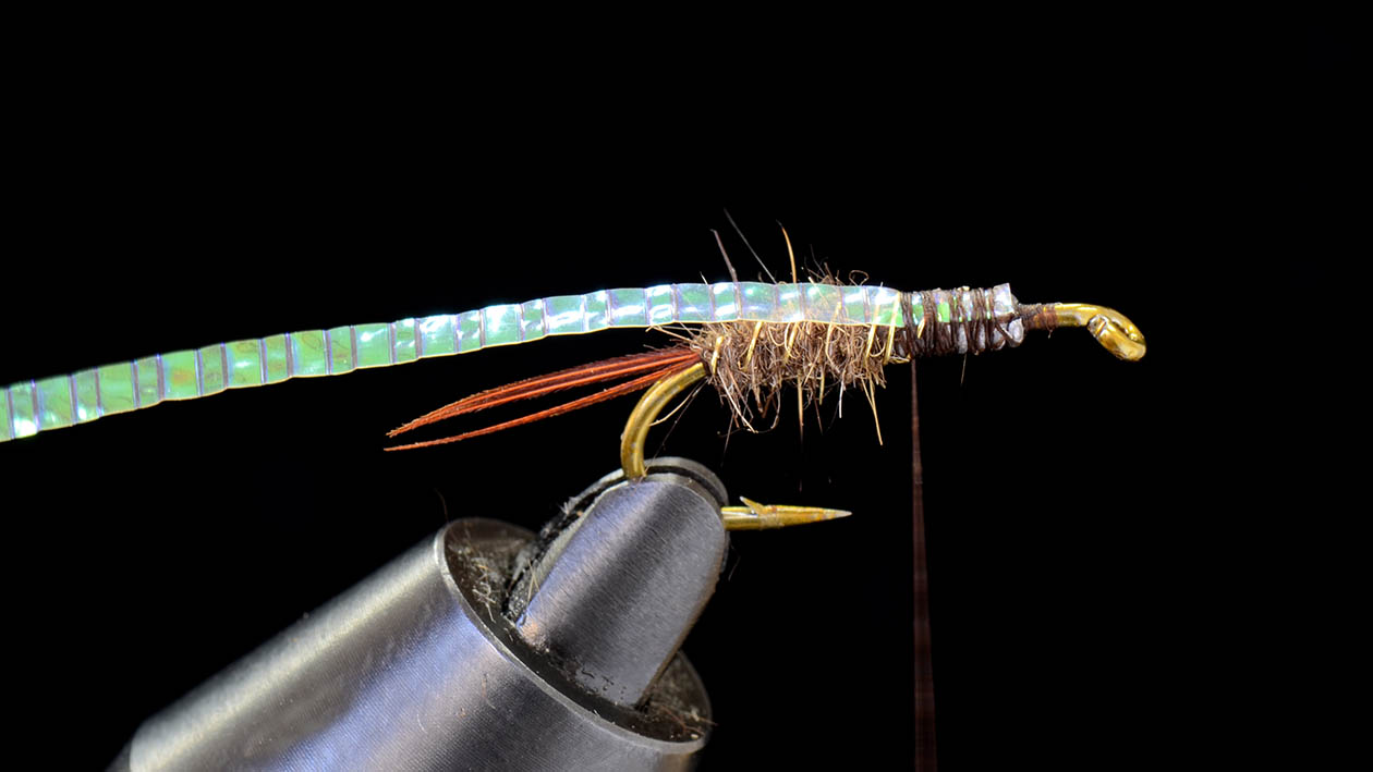 第22回 ニンフのウイングケース編 | SERIES | FlyFisher ONLINE
