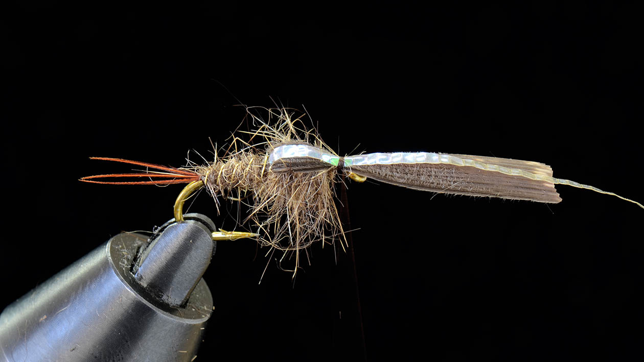 第22回 ニンフのウイングケース編 | SERIES | FlyFisher ONLINE