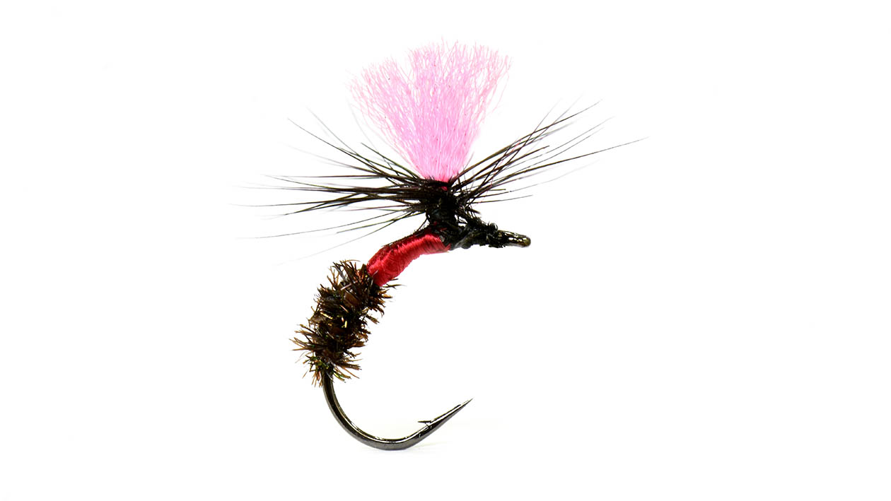 半沈」パターンヘの信頼。 | ARTICLES | FlyFisher ONLINE