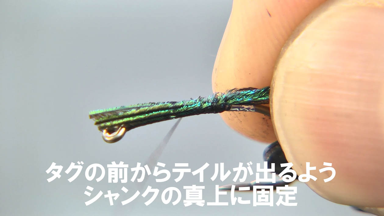 MOVIE | FlyFisher ONLINE フライフィッシング専門誌フライ