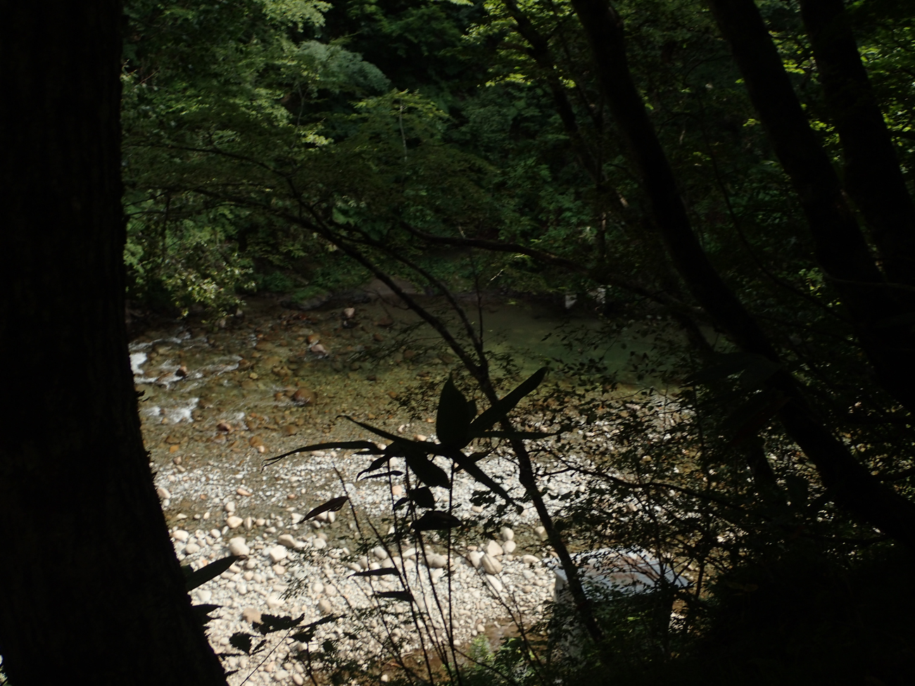 もっと、日本の渓流のために。 | PARTNERS | FlyFisher ONLINE