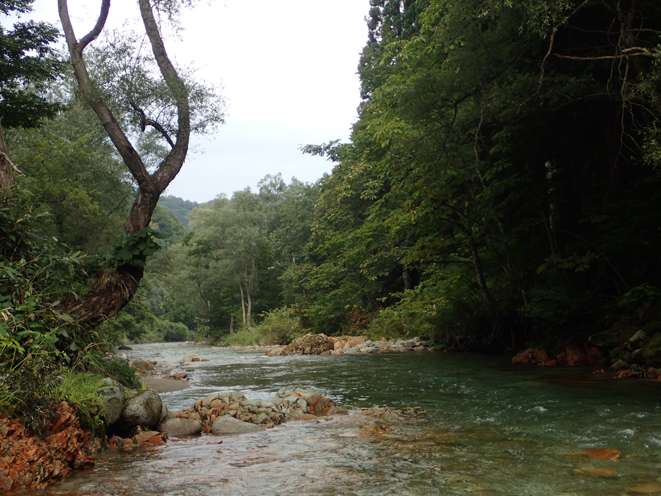 もっと、日本の渓流のために。 | PARTNERS | FlyFisher ONLINE