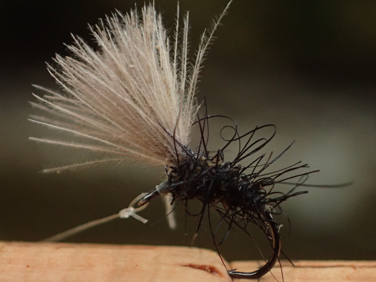 もっと、日本の渓流のために。 | PARTNERS | FlyFisher ONLINE