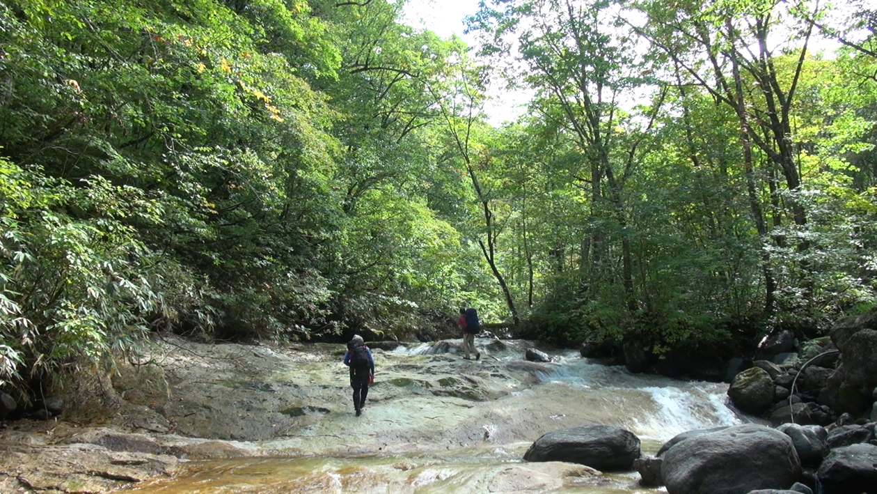 MOVIE | FlyFisher ONLINE フライフィッシング専門誌フライ