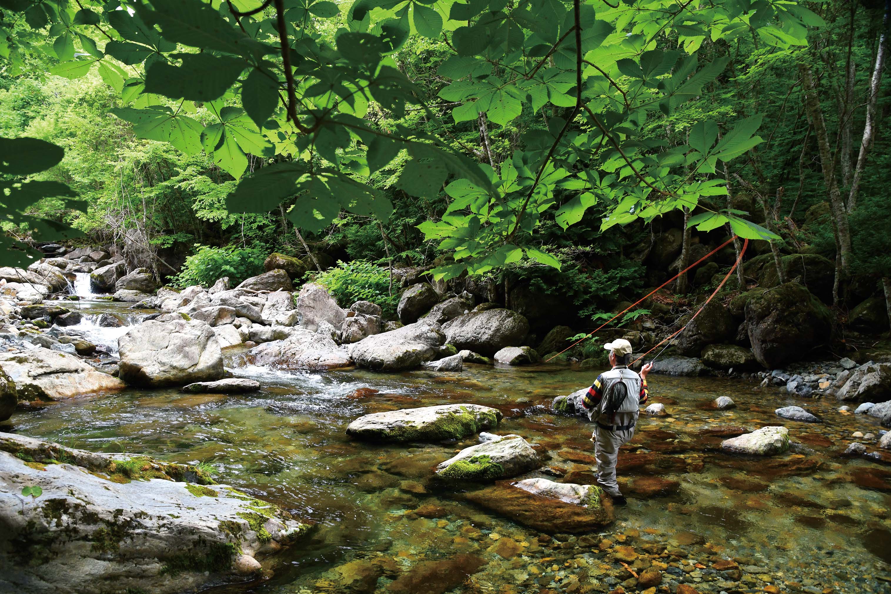 普段使いのパックロッド | PARTNERS | FlyFisher ONLINE フライ