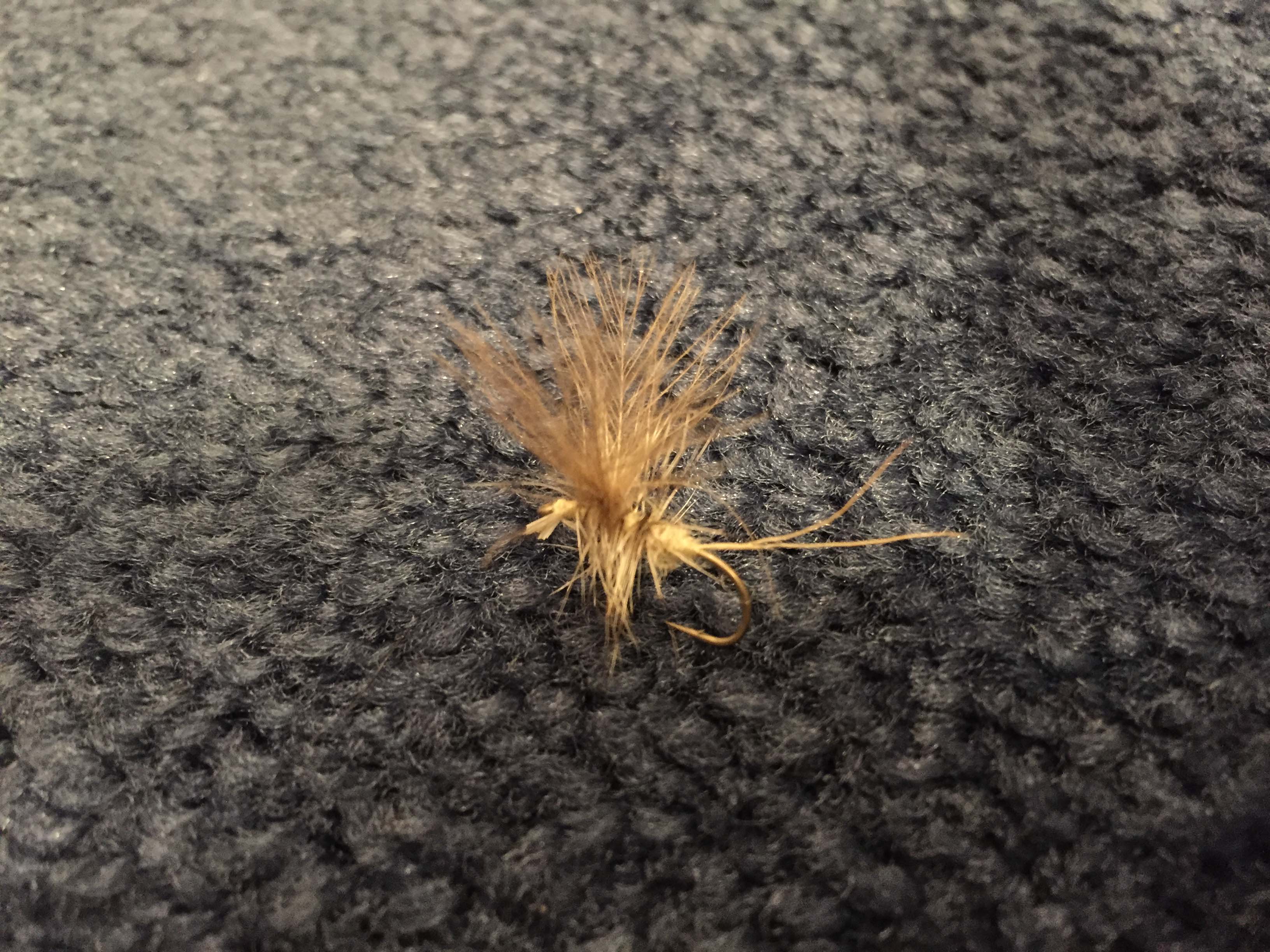 NY出張にロッドを忍ばせて | ARTICLES | FlyFisher ONLINE