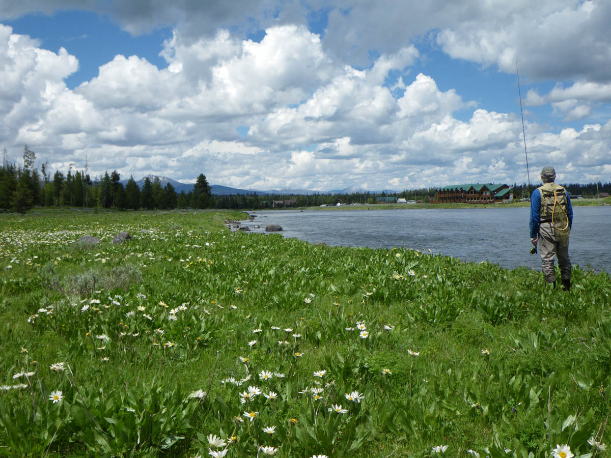 ヘンリーズフォークにかかる橋 | ARTICLES | FlyFisher ONLINE フライ