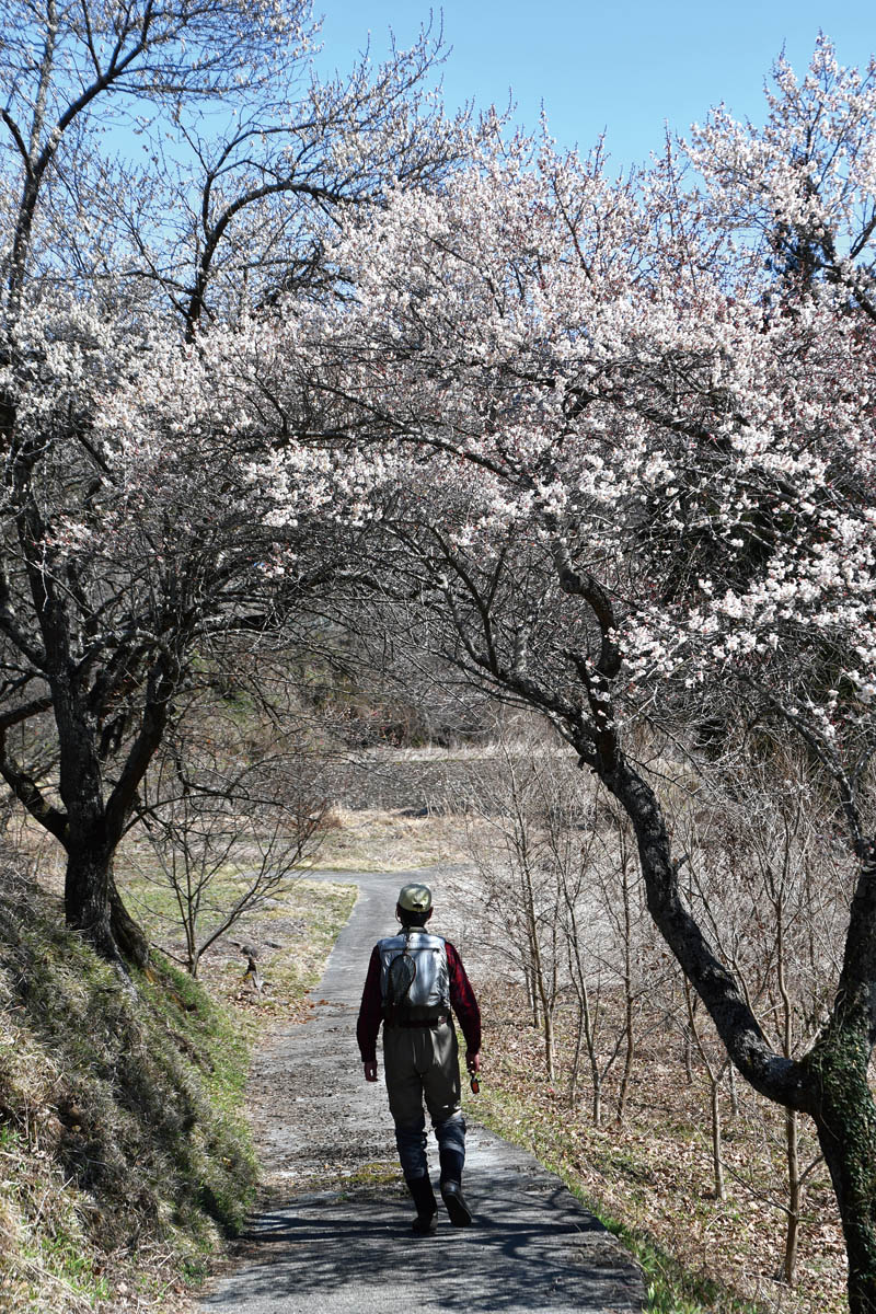 ライトラインで里川へ | PARTNERS | FlyFisher ONLINE フライ
