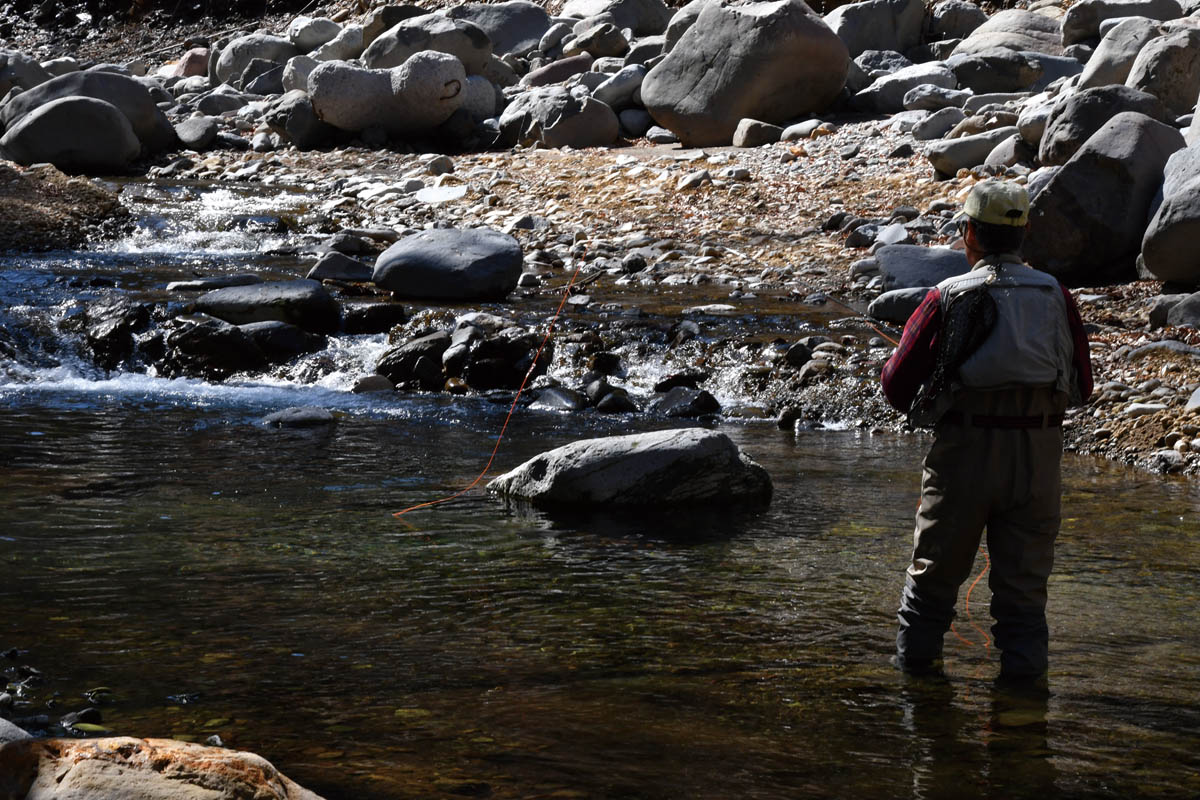 ライトラインで里川へ | PARTNERS | FlyFisher ONLINE フライ