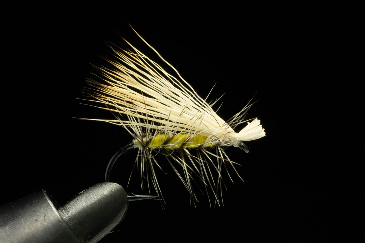 嶋崎了のタイイングライブ | EVENT | FlyFisher ONLINE フライ