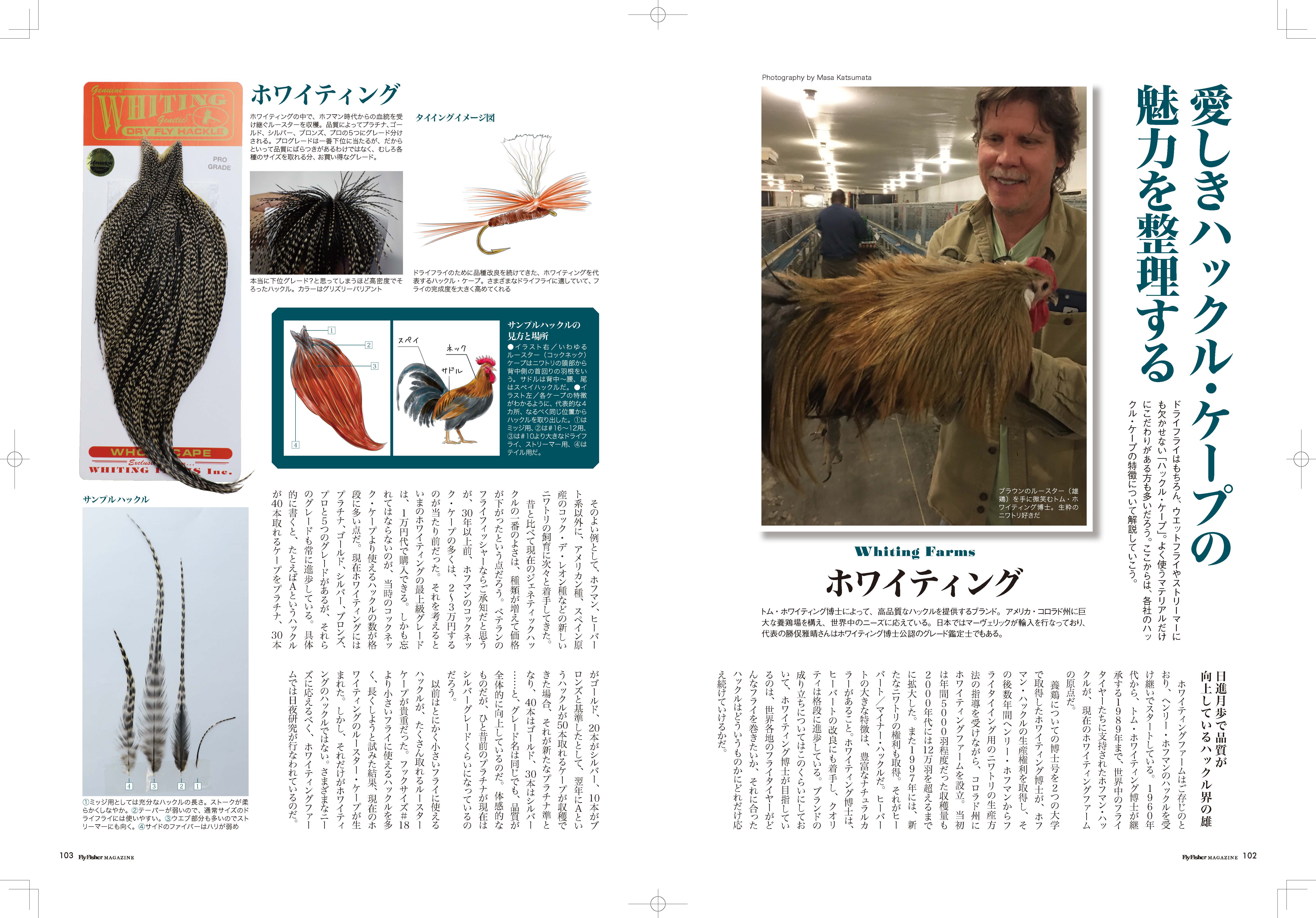 フライフィッシャーNo.296 お詫びと訂正 | ARTICLES | FlyFisher