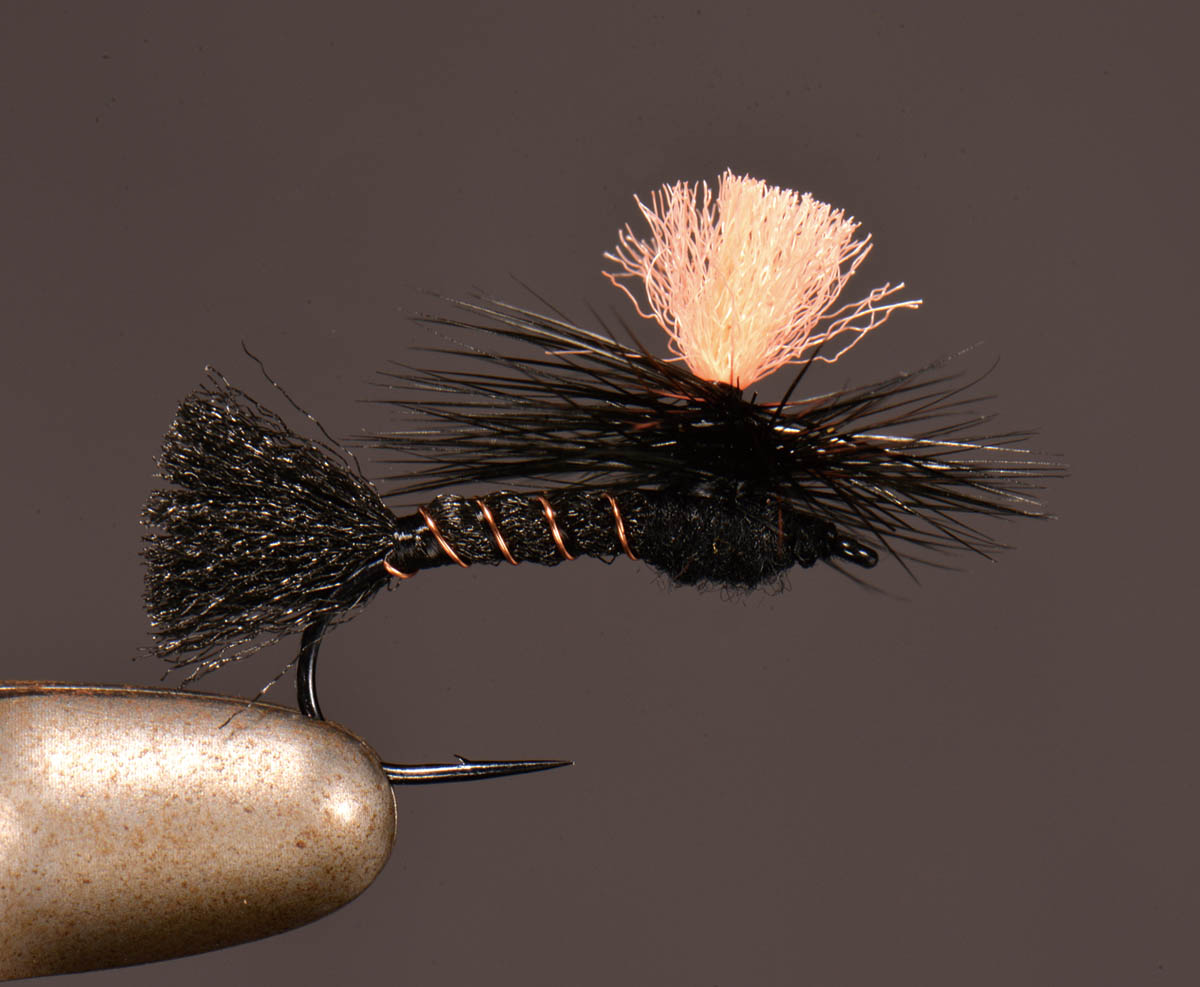 陸生昆虫の季節を楽しむための序章 | PARTNERS | FlyFisher
