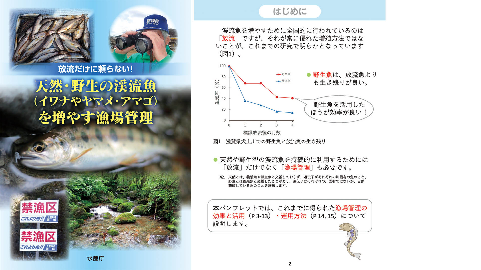 天然・野生の渓流魚を増やす漁場管理 | ARTICLES | FlyFisher ONLINE フライフィッシング専門誌フライフィッシャー  オフィシャルサイト