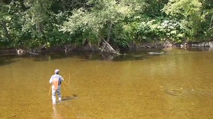 フライフィッシングDVD　渋谷直人　３枚 Amazon.co.jp: 渓流 Dry Fly Session () : 鈴木 寿, 渋谷 直人