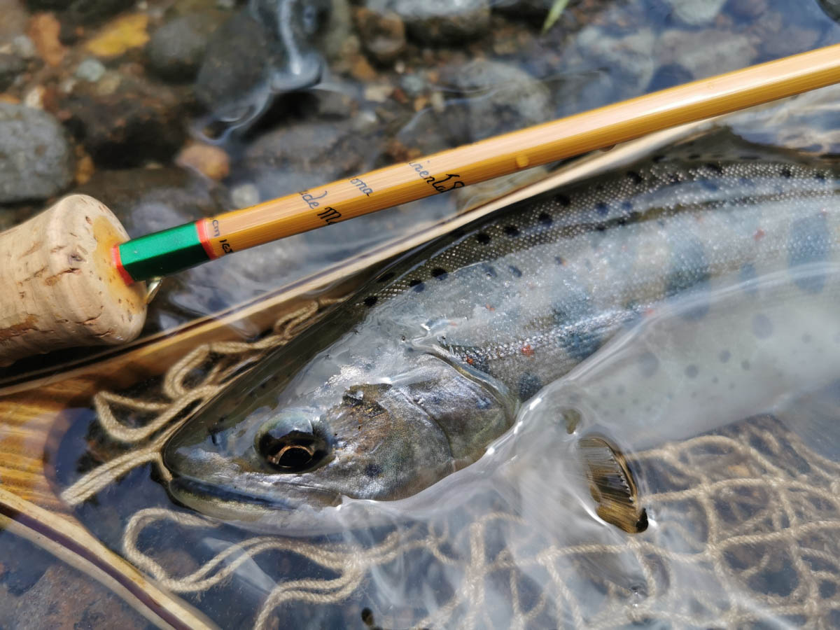 ヤマメ、アマゴをねらうドライとウエットのシステム | TACKLE GUIDE | FlyFisher ONLINE フライフィッシング専門誌フライフィッシャー  オフィシャルサイト