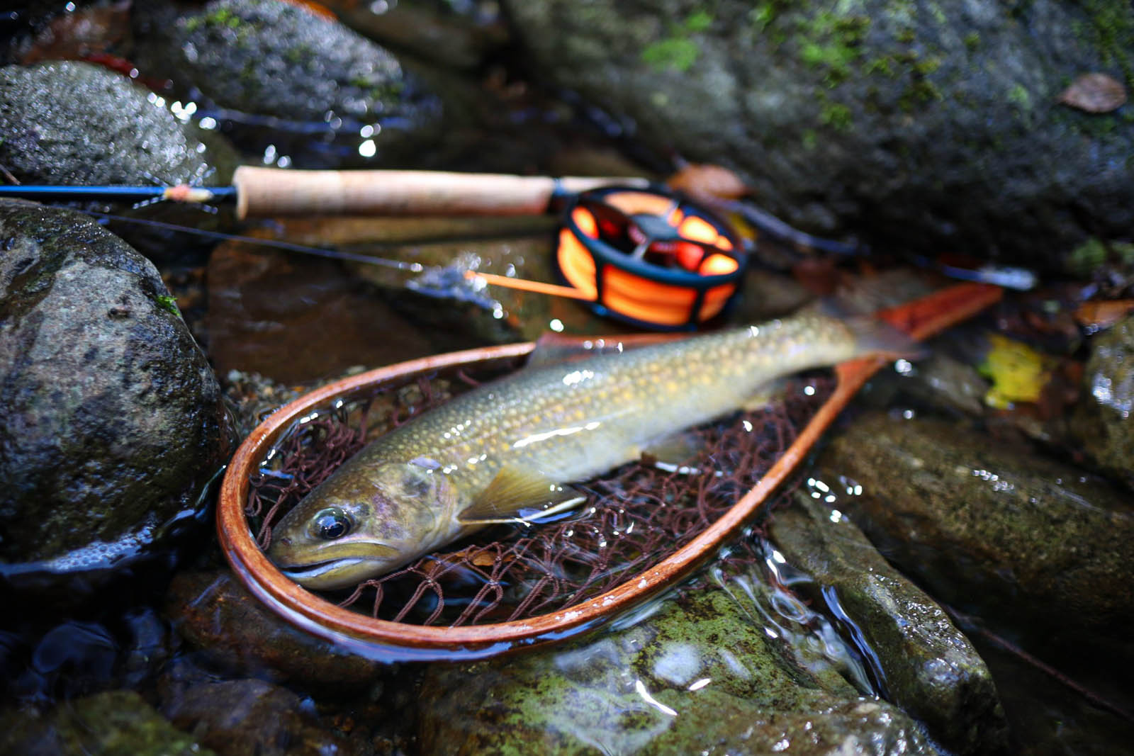 Foxfire×SHAKU-HUNTER | ARTICLES | FlyFisher ONLINE フライ