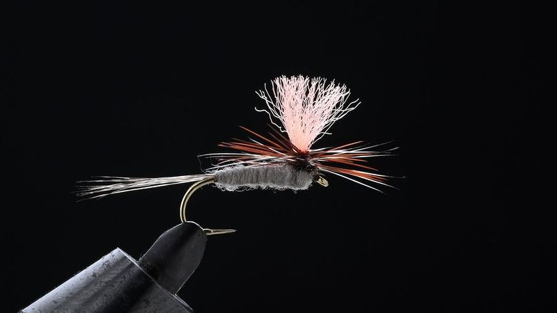 Local Flies11：東北の渓流用フライ-05 | ARTICLES | FlyFisher ONLINE フライフィッシング専門誌フライフィッシャー  オフィシャルサイト