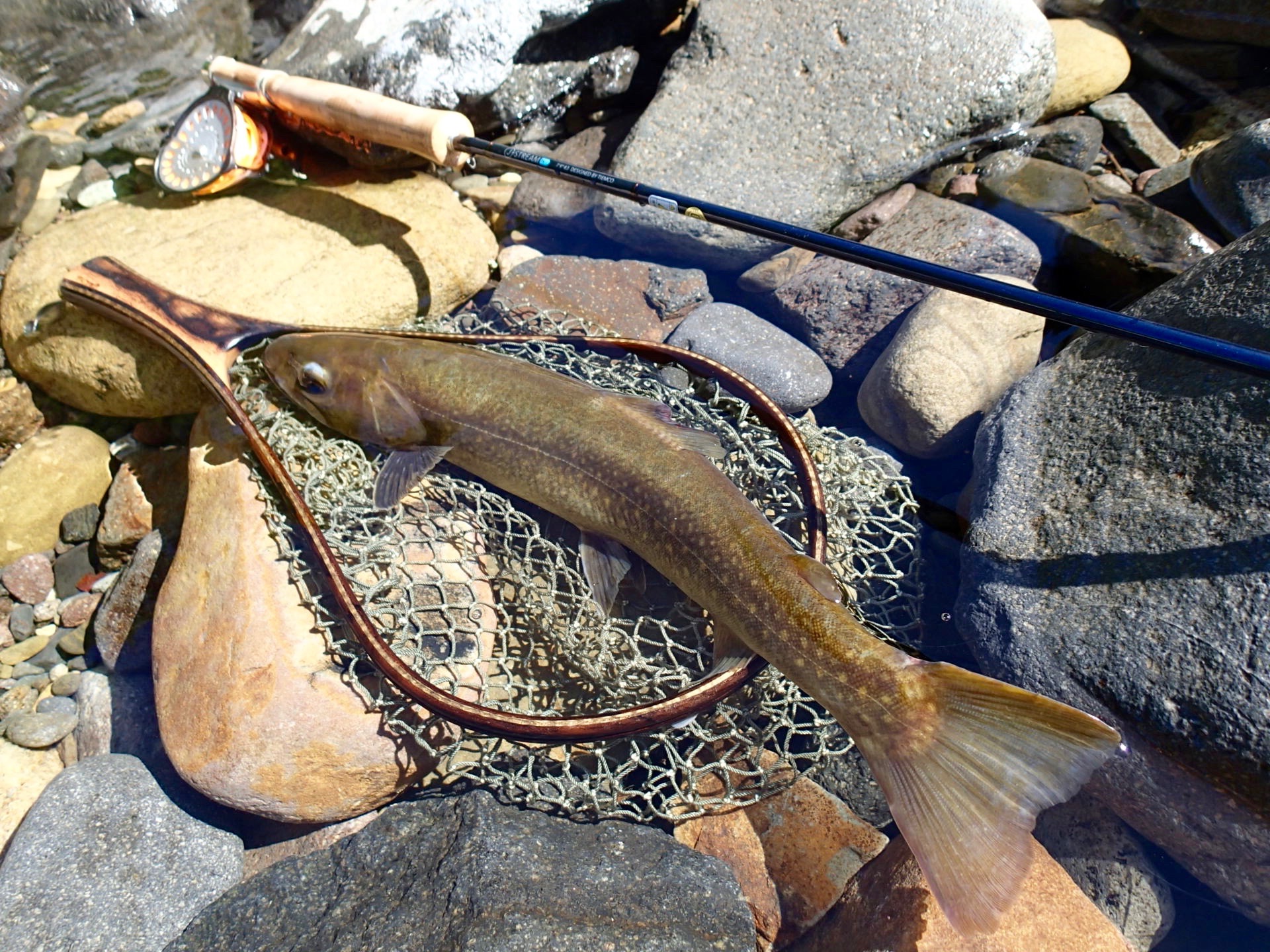 源流フライフィッシング入門：登山＋αのアクティビティー | EVENT