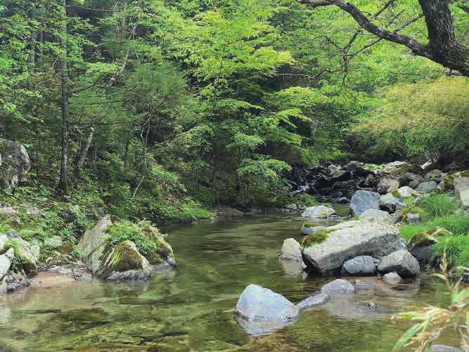 新藤忠伸さんのラインシステム | ARTICLES | FlyFisher ONLINE