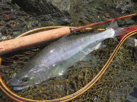 富田晃弘さんのラインシステム | TACKLE GUIDE | FlyFisher ONLINE