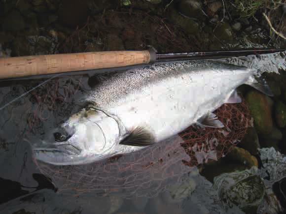 斉藤明さんのラインシステム | TACKLE GUIDE | FlyFisher ONLINE
