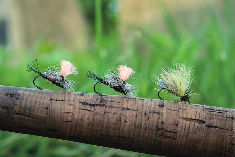 自在の6ピース | PARTNERS | FlyFisher ONLINE フライ