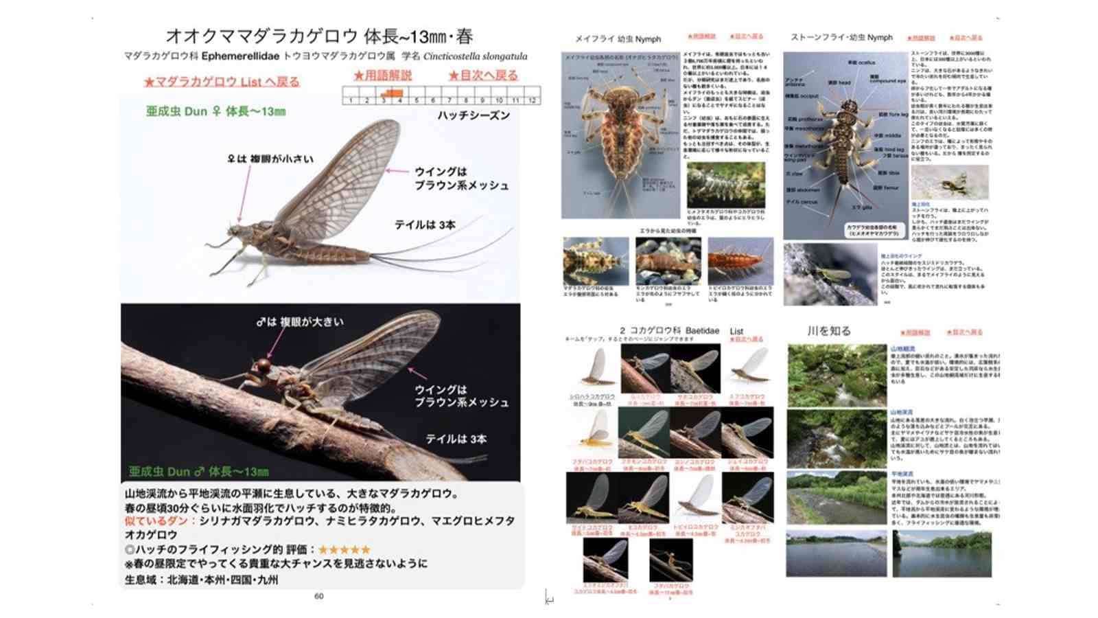 水生昆虫ガイドブック』書籍化PJ開始！ | EVENT | FlyFisher ONLINE 