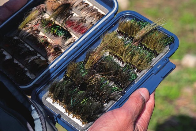 五十嵐川・ニジマス通年解禁 | PARTNERS | FlyFisher ONLINE フライ