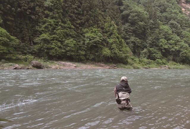 スカジットタクティクス入門│第4回 | SERIES | FlyFisher ONLINE