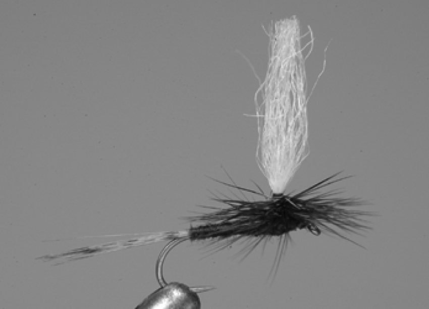 フライフィッシング　フライタイイングマテリアル　夏に向けてテレストリアル用各種 Hermit Fly Shop / テレストリアルフライ