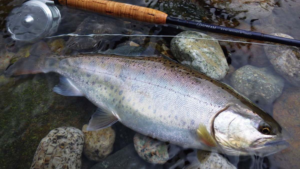 本流“ジャークドリフト”の衝撃 | ARTICLES | FlyFisher ONLINE